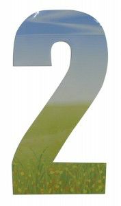 Class Meadow No 2