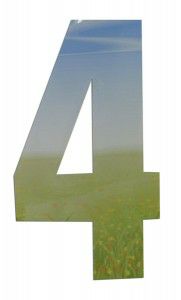 Class Meadow No 4