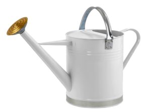 Watering Cans and Water Butts